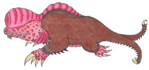 Ice Borer