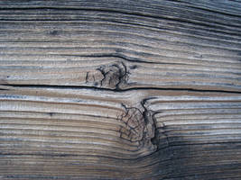 Restricted_Stock Wood Texture