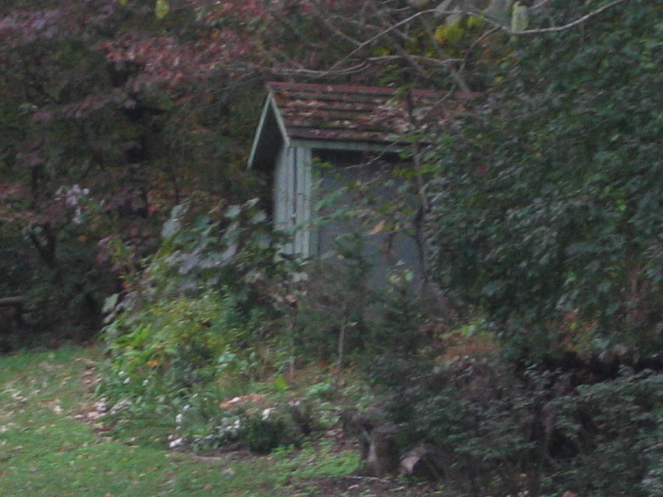 Stock_Little Shed