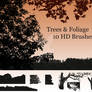 Trees and Foliage Brushes for Photoshop