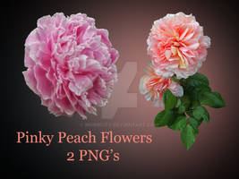 Peachy Pink Cut Out Flowers