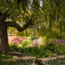 Premade Background - For the Ancients