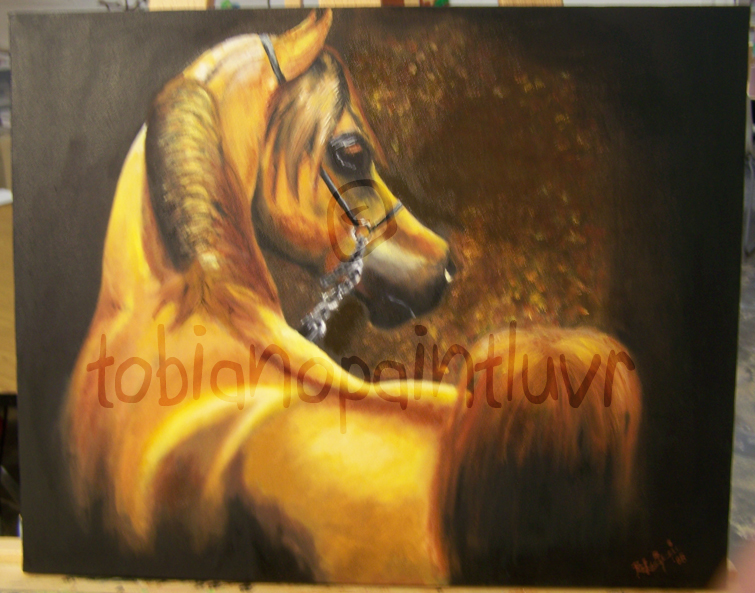 Chestnut Arabian Oil Painting