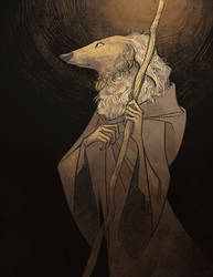 wanderer