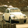 Vintage Beetle