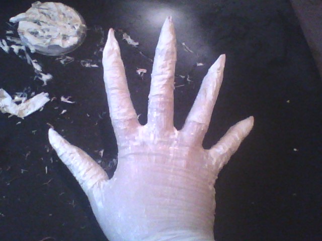Nosferatu's Nail Gloves