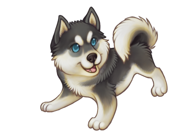 Grey Chibi Siberian Husky