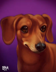 Molly Pet Portrait