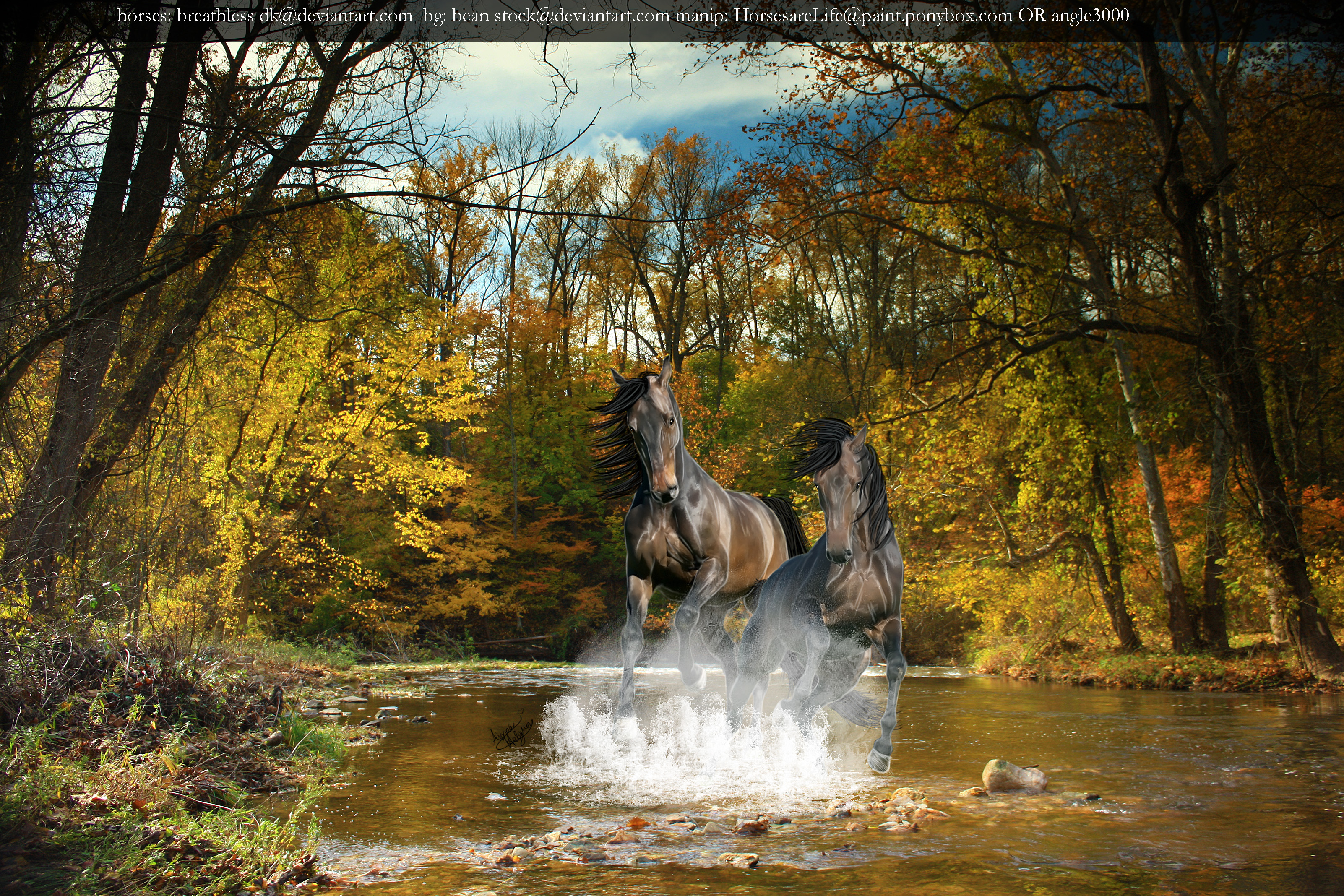 Water Horses