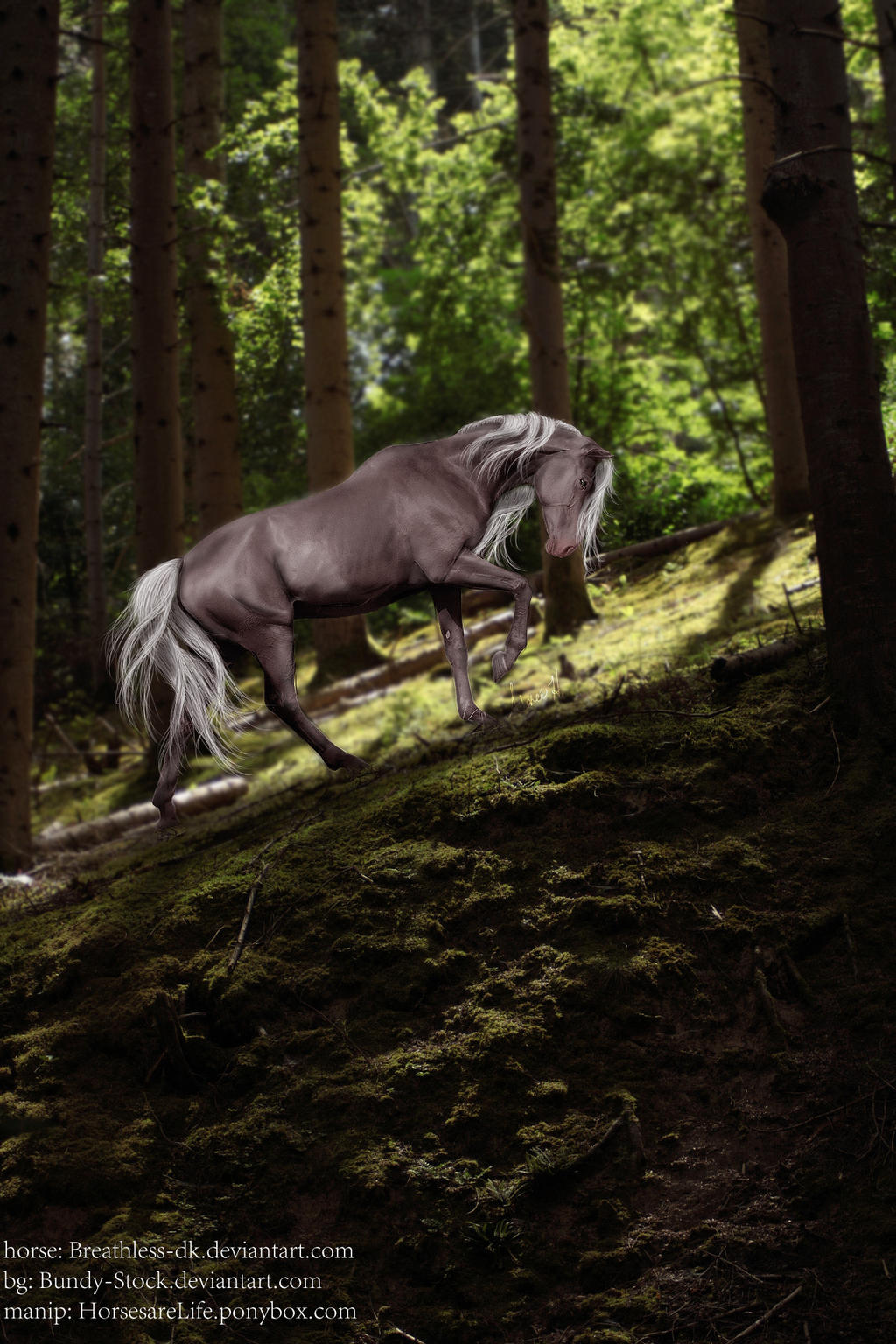 Forest Horse