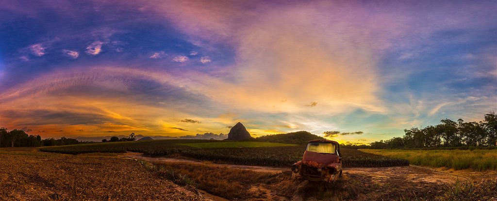 Pineapple panorama