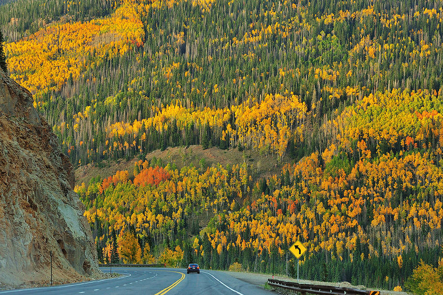 Fall Road 2