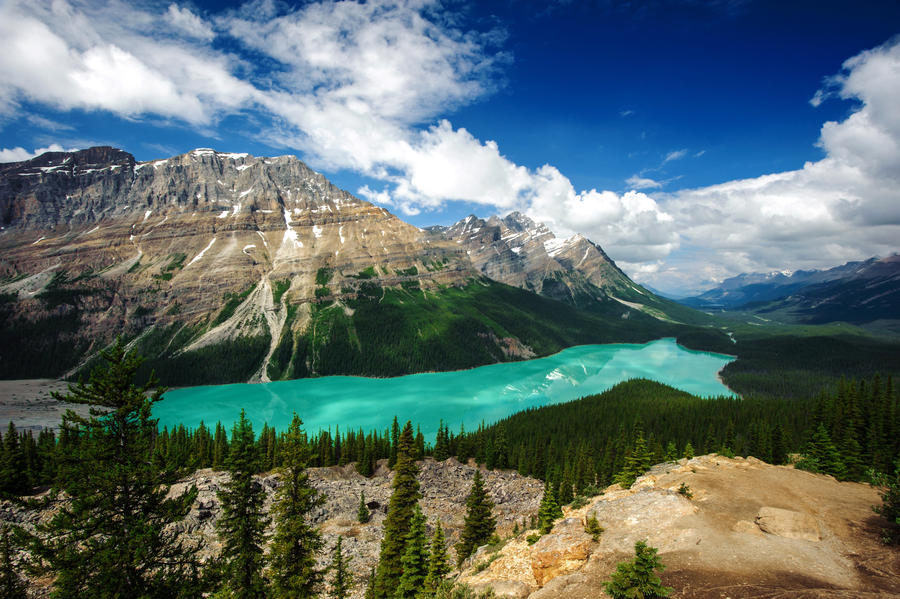 Озеро пейто в канаде Озеро пейто в канаде