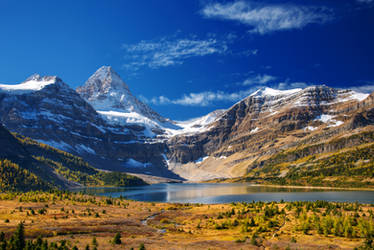 Delight at Mount Assiniboine