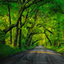 Tunnel