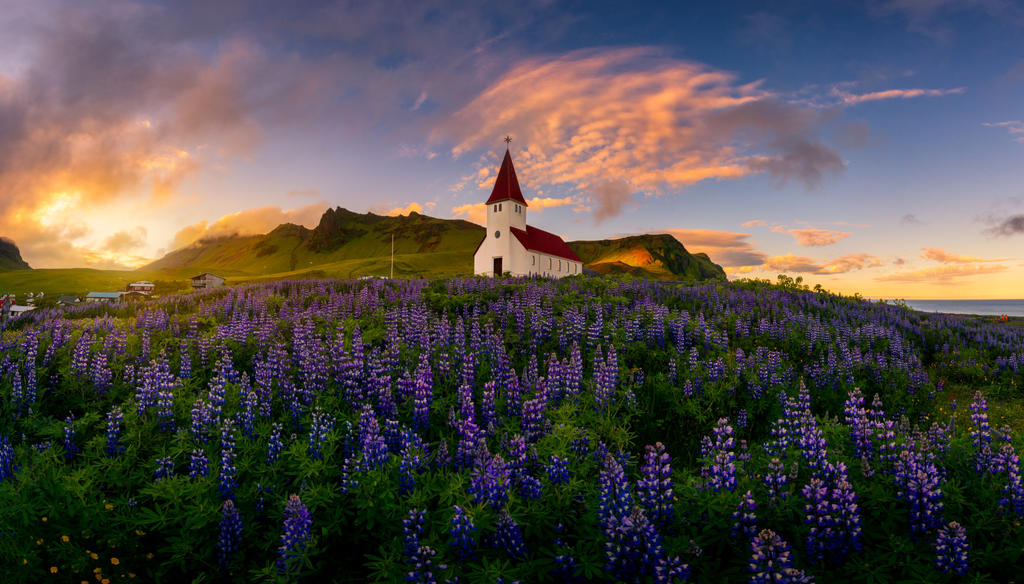 Purple Carpet by porbital