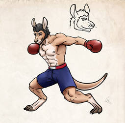 Boxing Roo