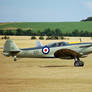 Supermarine Seafire Mk XVII