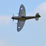 Supermarine Seafire Mk.XVII