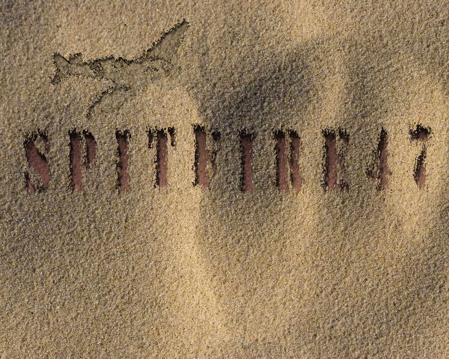 Sandprint,other ID by Spitfire47 on DeviantArt