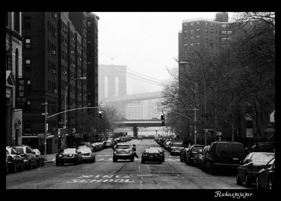 brooklyn fog