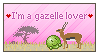I'm a gazelle lover