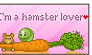 I'm a hamster lover