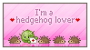 I'm a hedgehog lover