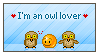 I'm an owl lover by pjuk