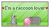 I'm a raccoon lover by pjuk