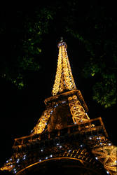 Night Lights in Paris