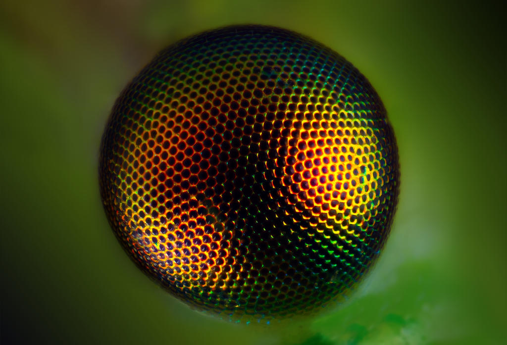 Ideal eye by dack99 Ideal eye by dack99