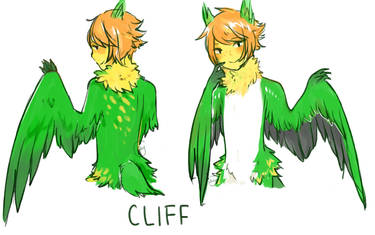 Cliff