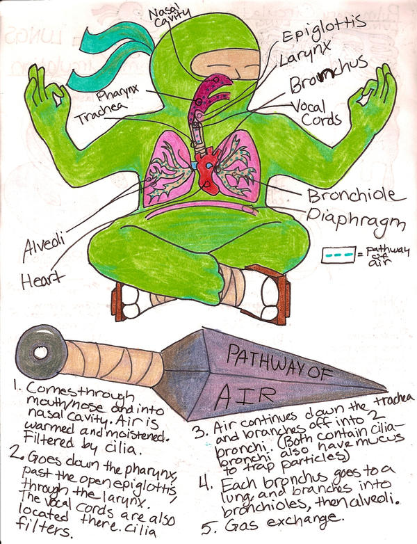 Page 4 Biology