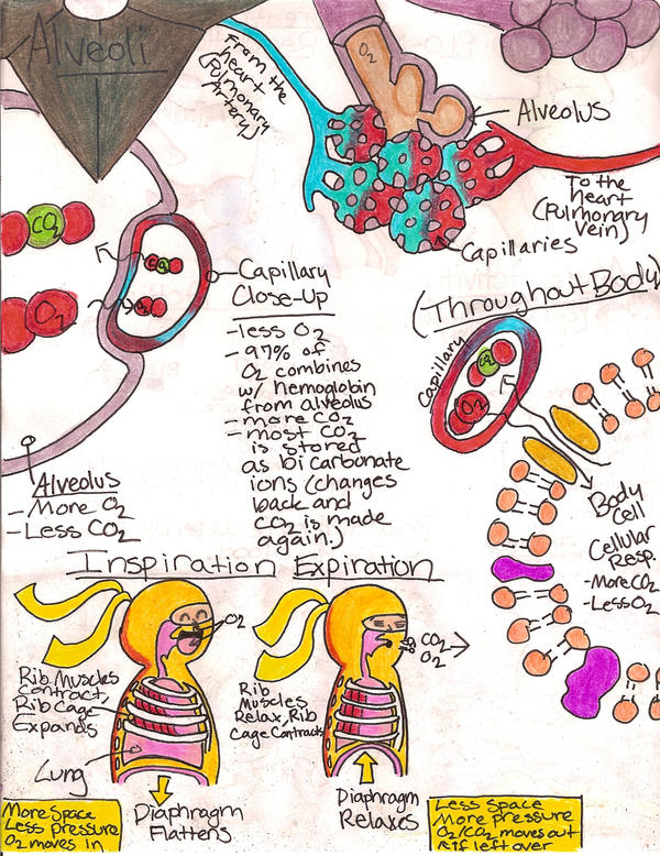 Page 5 Biology