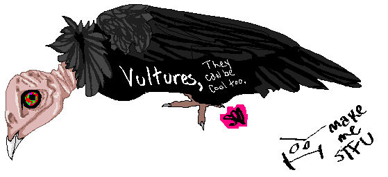 Vultures are awkward social beings