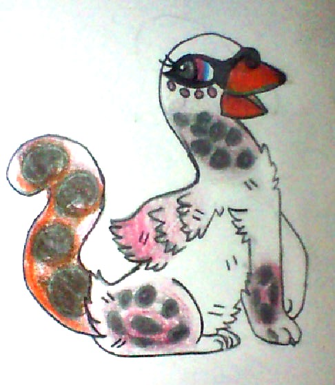 Swan Snow Leopard mix adopt