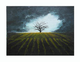 Tree in the field