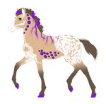 N5034 Padro Import - OPEN by UnknownRidersStable