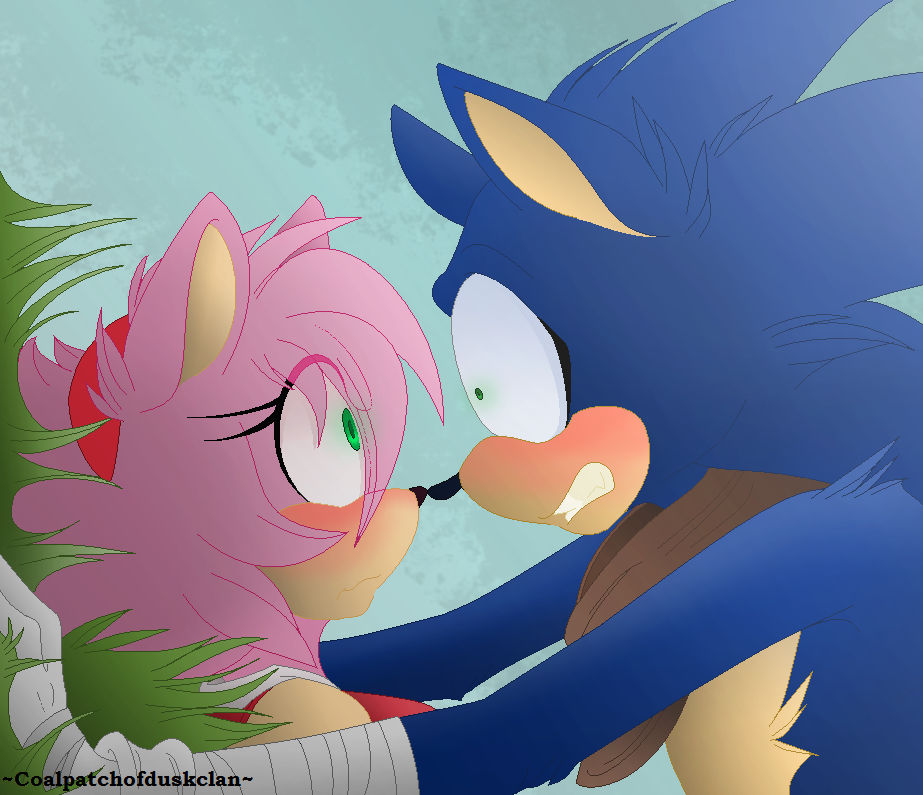 Amy Rose y Sonic - Sonamy - Kiss awwww