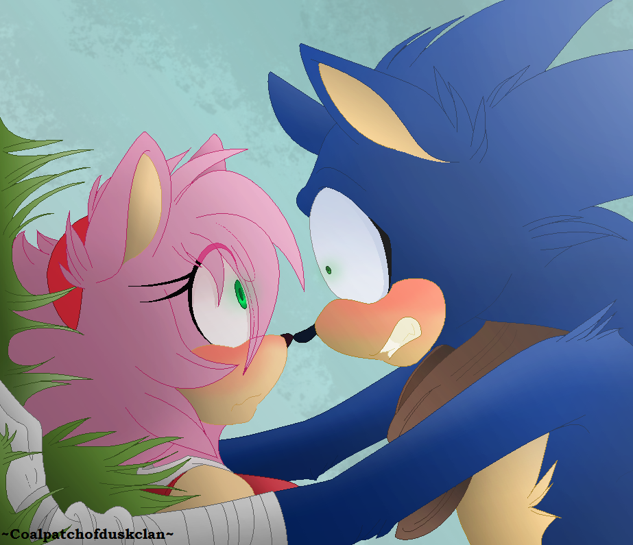 Sonamy Boom  Sonic and amy, Sonic boom, Hedgehog art