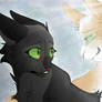 Hollyleaf and Fallen Leaves