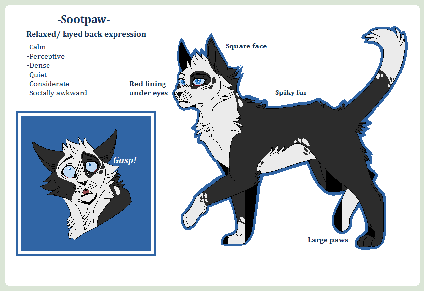 Sootpaw .Reference sheet.