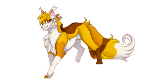 Hawkfeather Commission