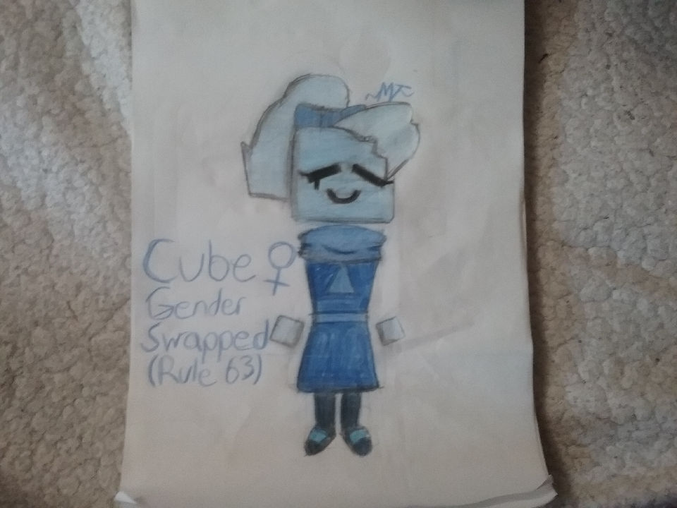 Gender swapped TPC cube drawing by MichelleMagixArt on DeviantArt