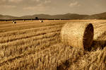 Hay Balls by NickKoutoulas