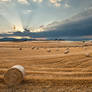 Hay balls.