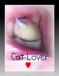 Cat Lover