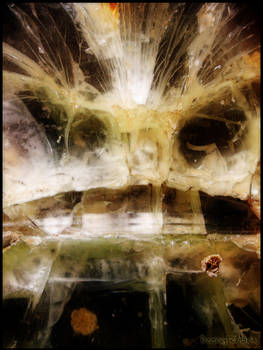 Strange abstract : 30 : Face