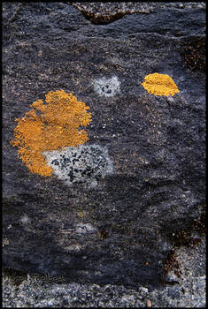 Random rock : Throwing up